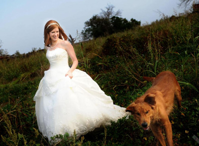 Light Harvest Austin Wedding Photography